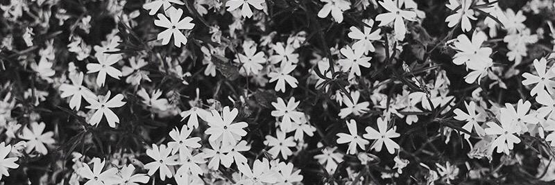 kinseyav's profile banner image