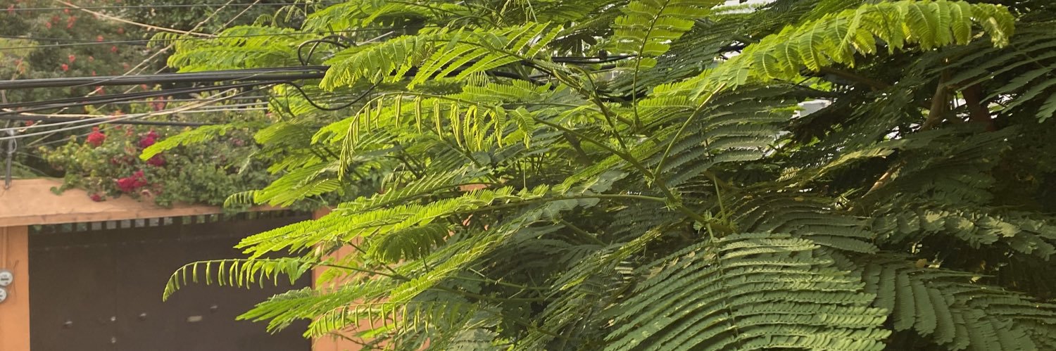 pinchejoce's profile banner image