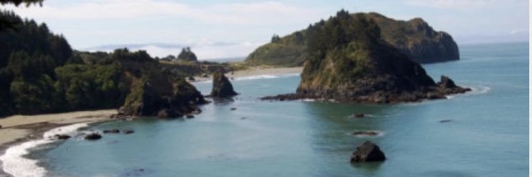 Trinidadian Warrior banner