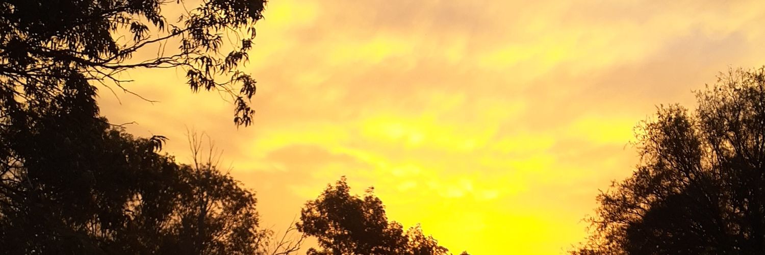 Caami_gonzalez0's profile banner image