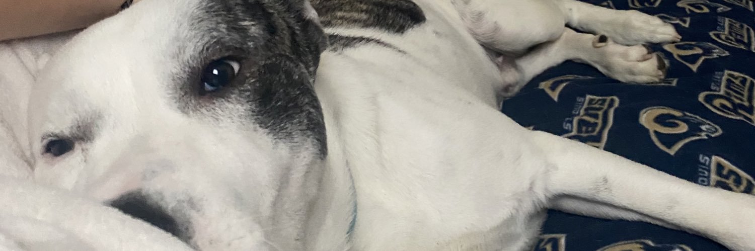 Jasmine👑 banner