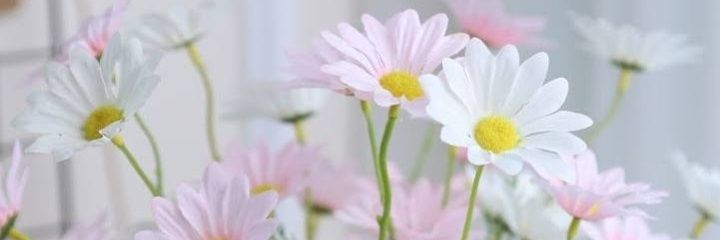 ✿˖⁠✿꒰(✿⁠)꒱⁠˖⁠♡🌤️ banner