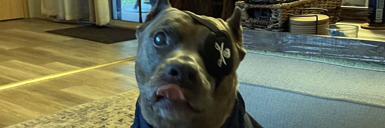 gerridavis69's profile banner image