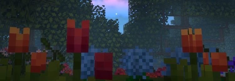 KWhore9's profile banner image