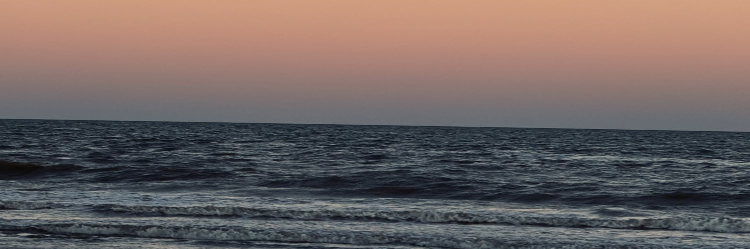 ssofigut_'s profile banner image
