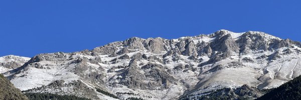 QuicoSalles Profile Banner