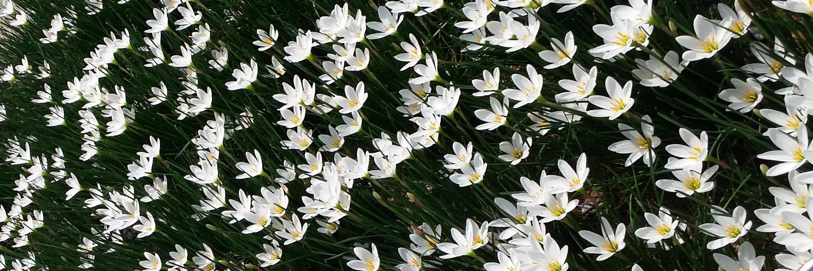 aditisom's profile banner image