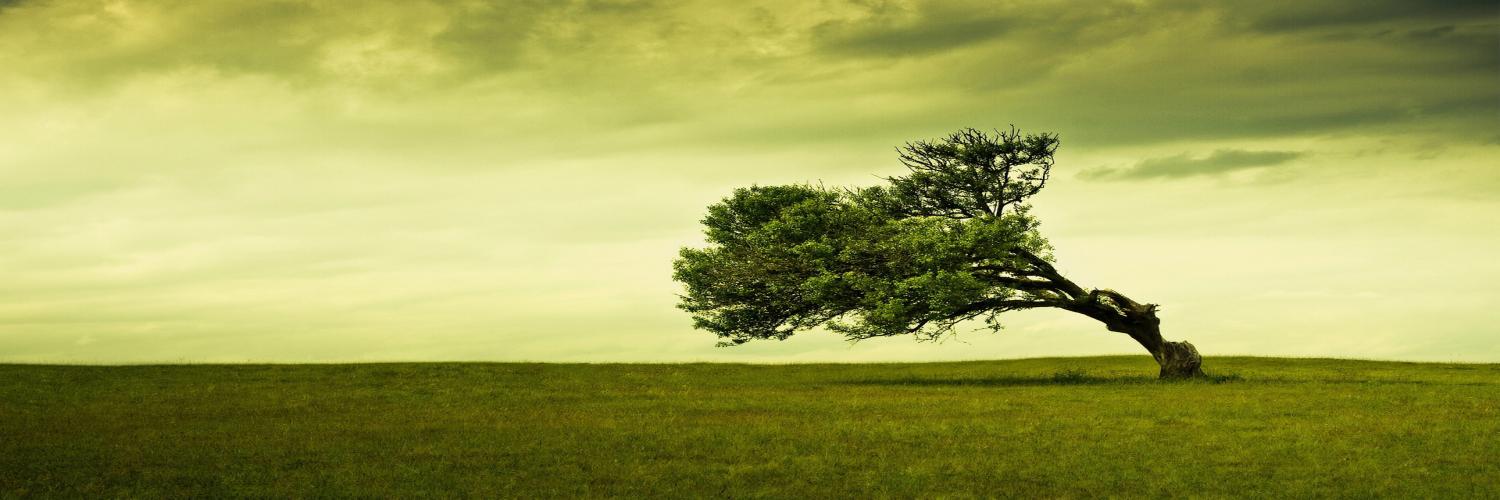 ndrewrichardson's profile banner image