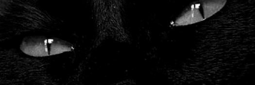 : banner