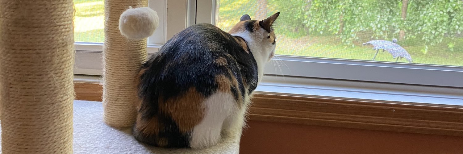 IsabellysKing's profile banner image