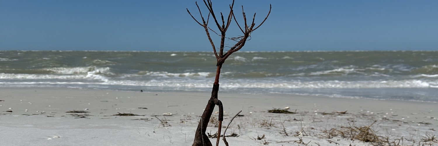 Shayne Seymour banner