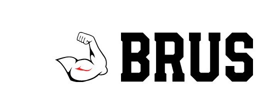 ╰┈➤ 𝓑𝓻𝓾𝓼 banner