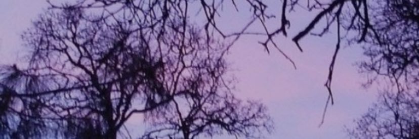 allisynbirch's profile banner image