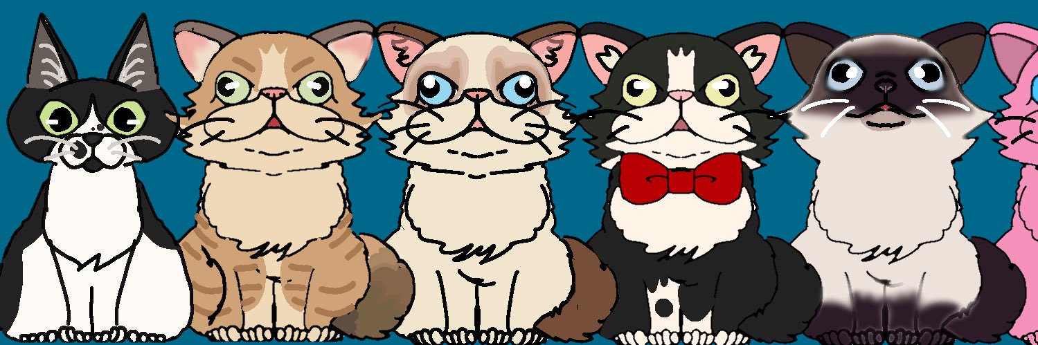 エストレジャ banner