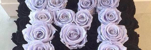 melfrsk's profile banner image