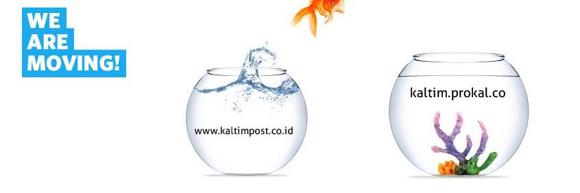 infokapee's profile banner image