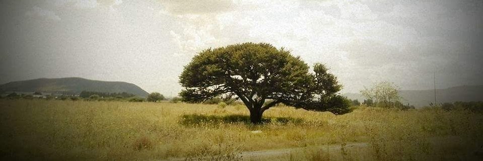 mboysen's profile banner image