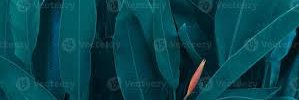 Matthewsrr61312's profile banner image