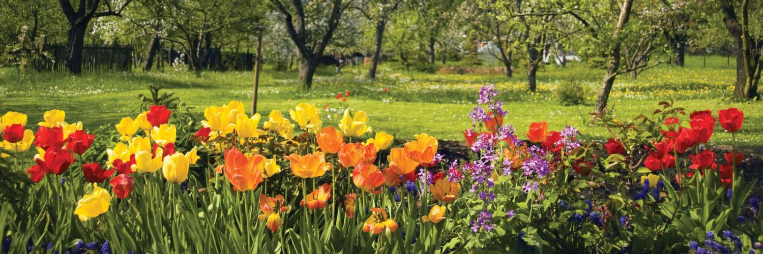 Sonam Kulkarni banner