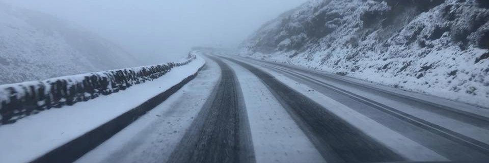 Will Oliphant banner