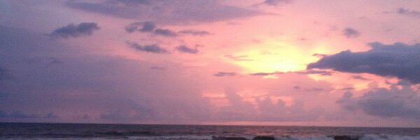 SrishtiTibrewal Profile Banner