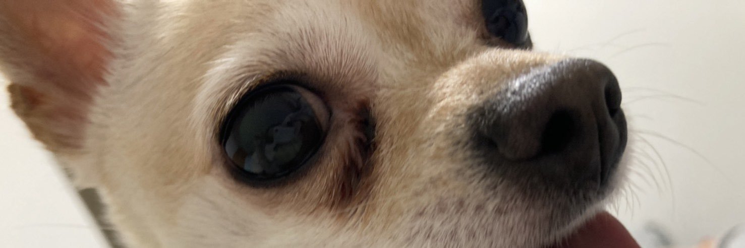 mugizonft's profile banner image