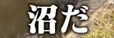 ｶﾝﾅ banner