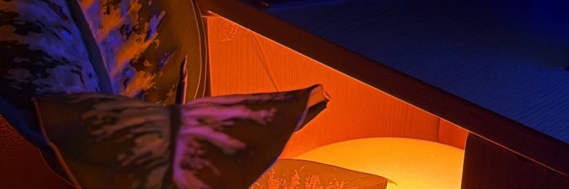 VII banner