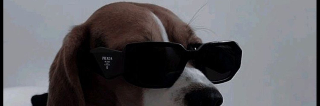 TheGrinding221's profile banner image