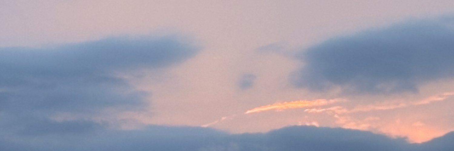 nkfw1's profile banner image