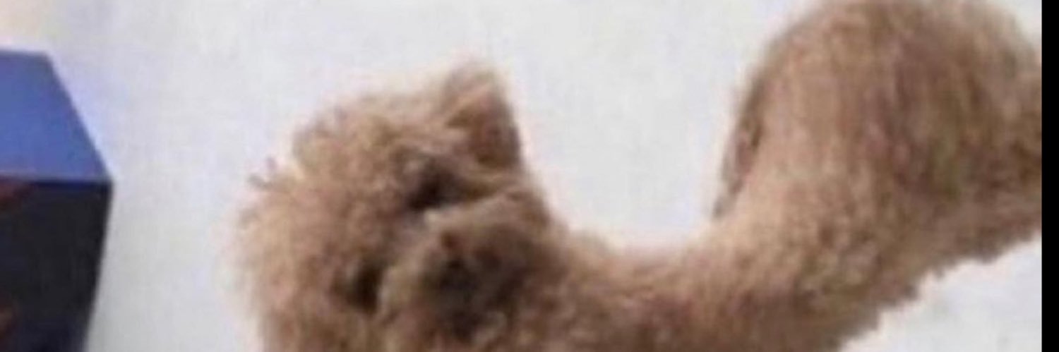 Fightdumpdaily banner