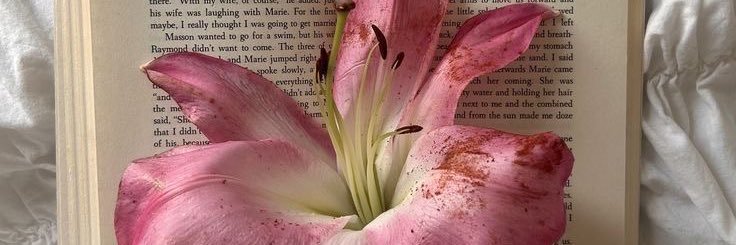 lily banner