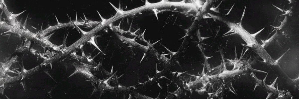 helpimrotting_'s profile banner image