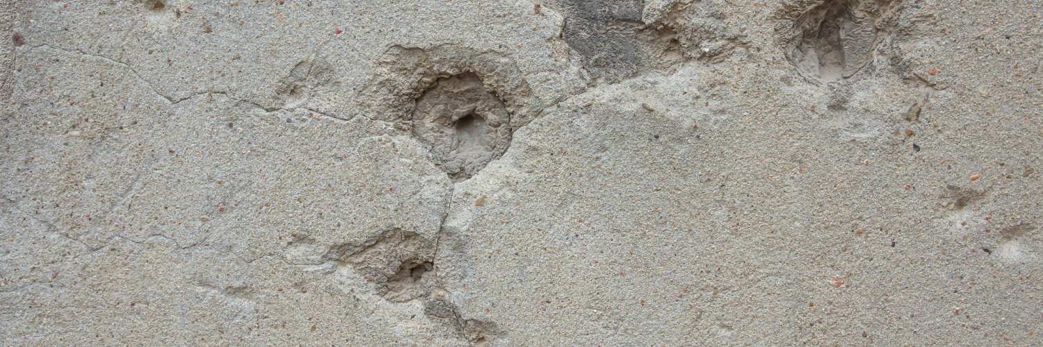 ECPR SG Political Violence banner