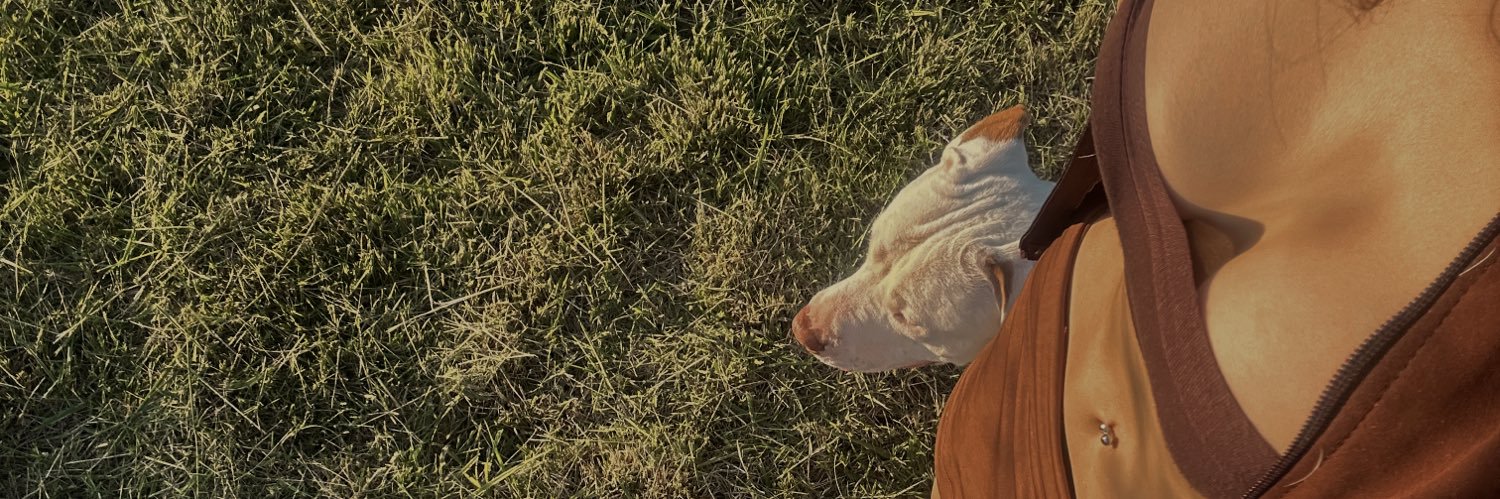 morepradoo's profile banner image
