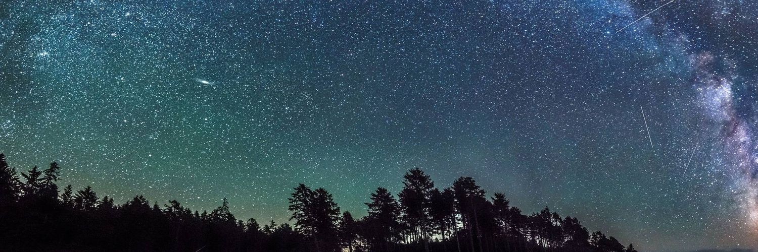 picipici 🌒 banner