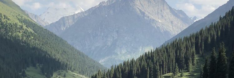 Decem 🛼 banner