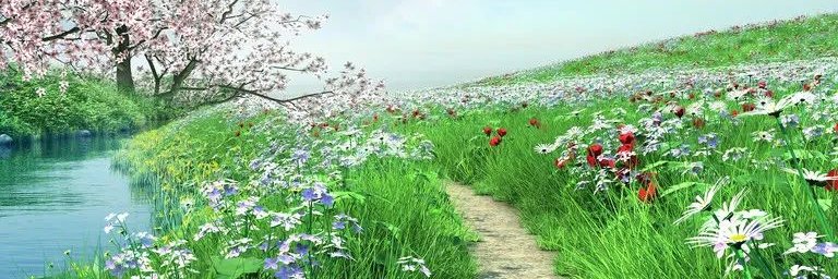 lucyyu27's profile banner image