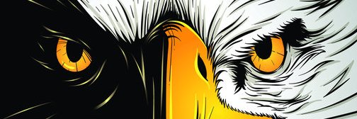 SID_Eaglei's profile banner image