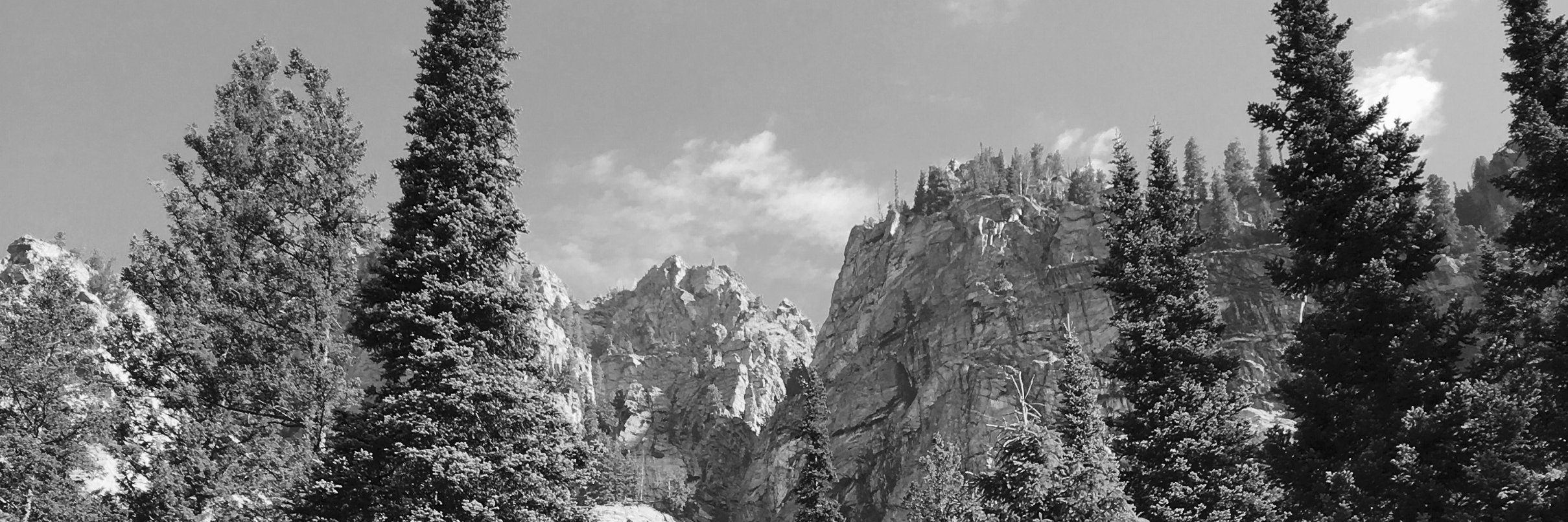 gseevers's profile banner image