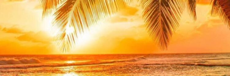 aruzicka980's profile banner image