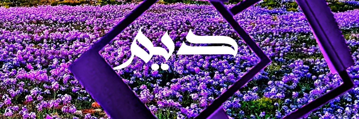 دٍيَمً ♥ banner
