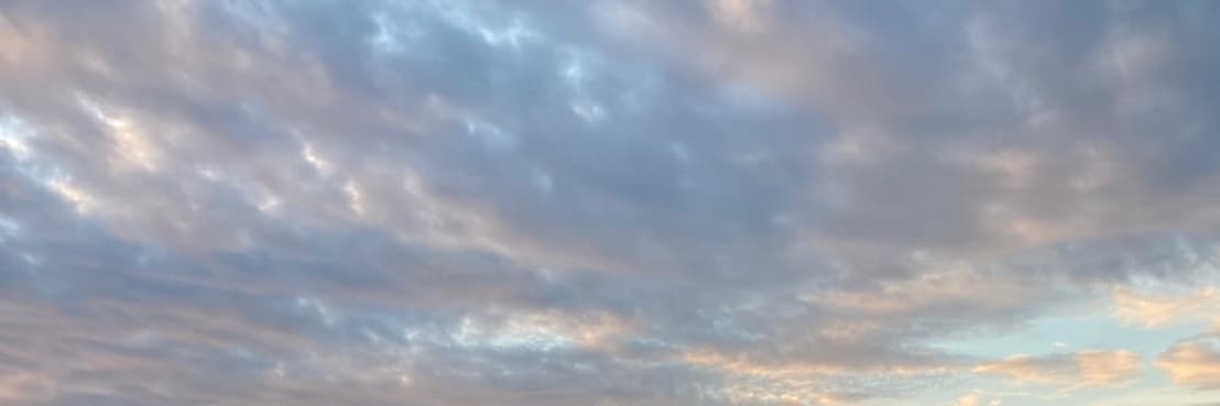GIZZXX banner