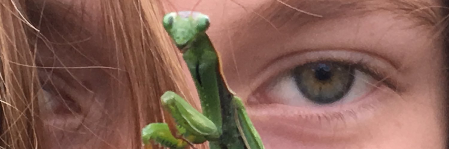 monica_usera's profile banner image