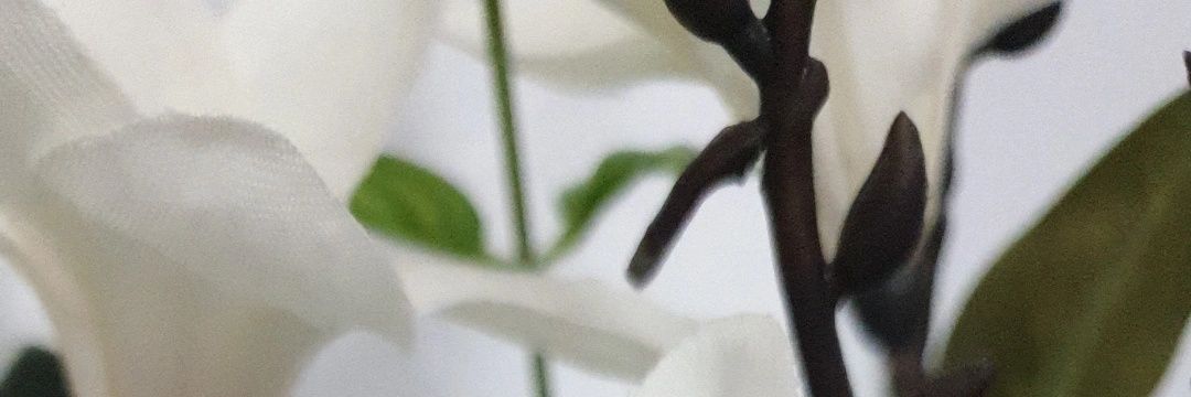 trianaa__19's profile banner image