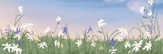 fleurxell's profile banner image