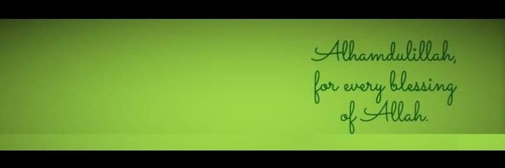 TheZalam's profile banner image