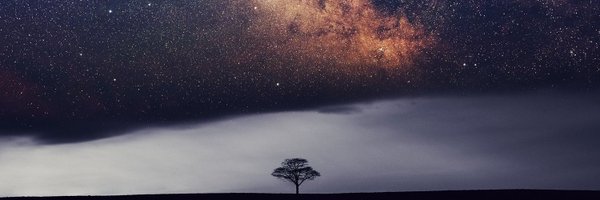 francyfiallo Profile Banner