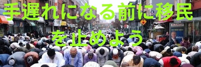 MASS DEPORTATIONS 🇯🇵🇺🇦🇪🇸🇺🇸🇦🇷🇨🇦 banner