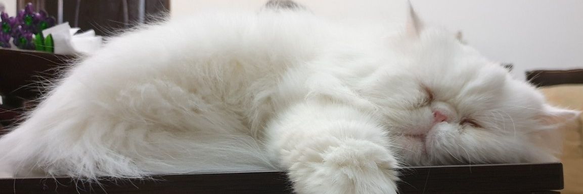 Aidin59's profile banner image